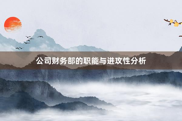 公司财务部的职能与进攻性分析