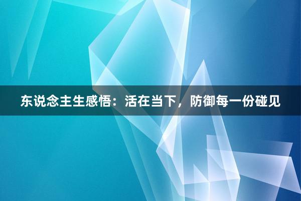 东说念主生感悟：活在当下，防御每一份碰见