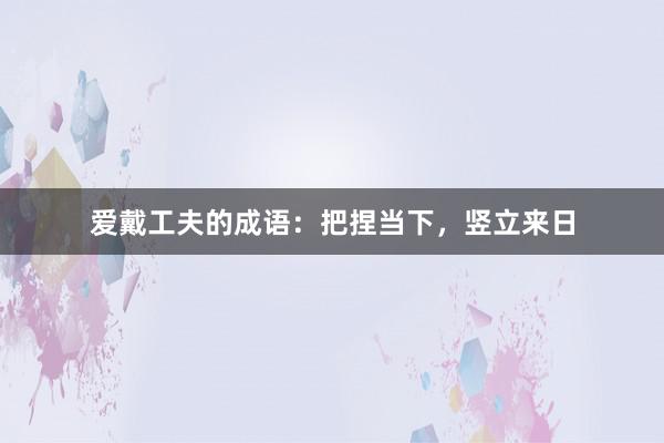 爱戴工夫的成语：把捏当下，竖立来日